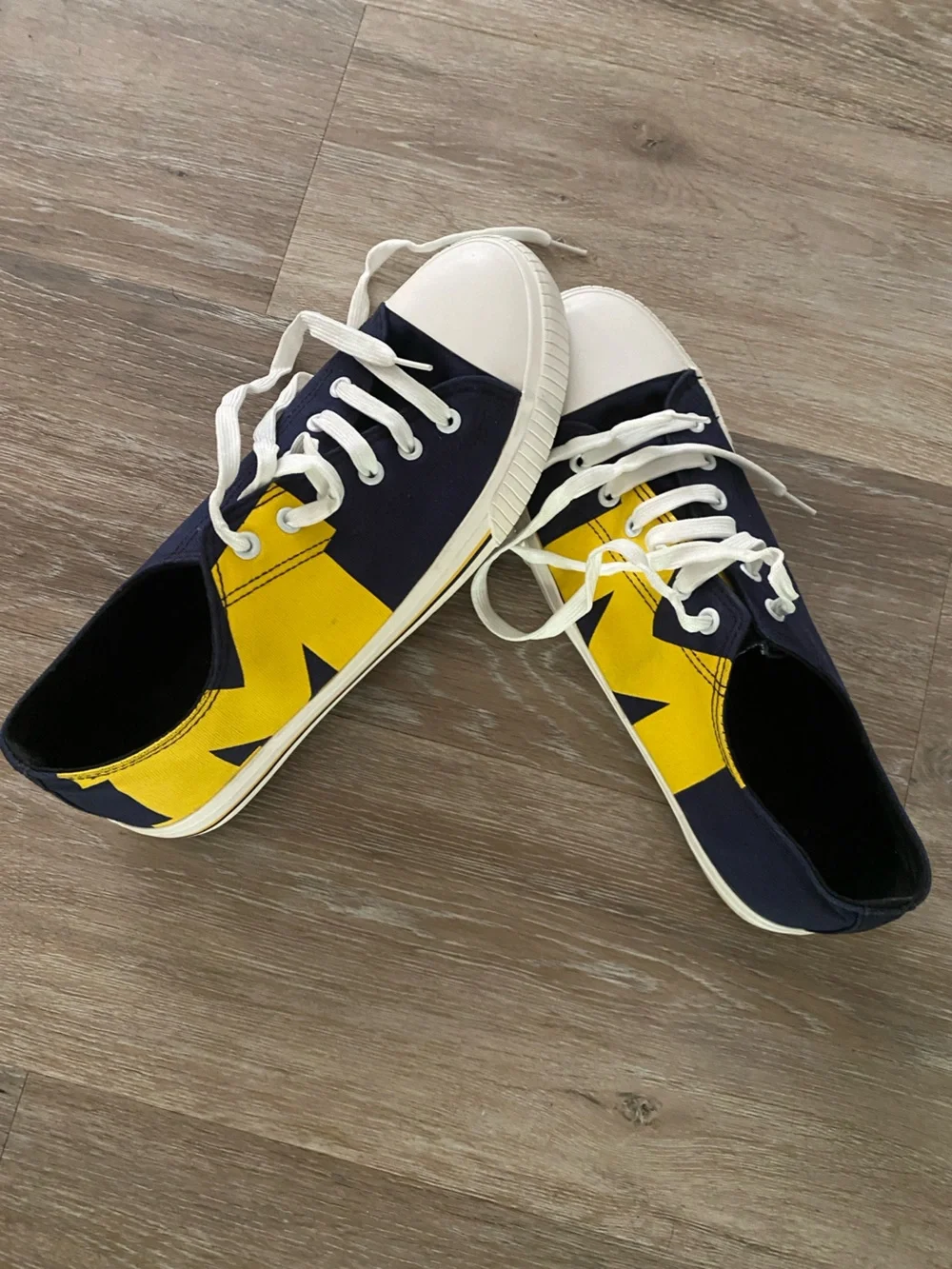 Michigan Wolverines FOCO Shoe 10